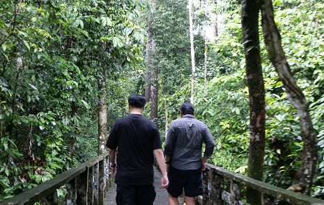 Sustainable Luxury Awaits You Explore Sabah's Rich Biodiversity