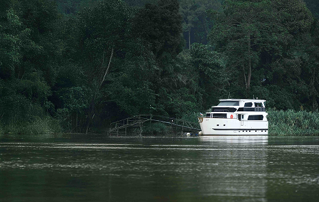 Discover Sabah's Wild Beauty at Jewel Changi Airport This September
